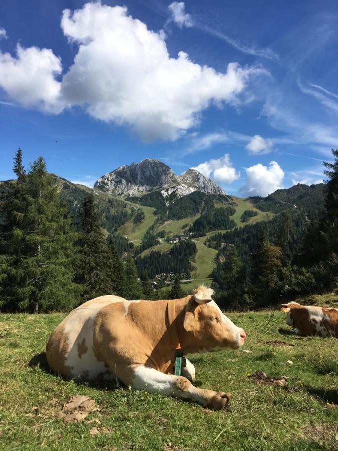 Landhaus Kloosterstube Hermagor-Pressegger See Exteriér fotografie